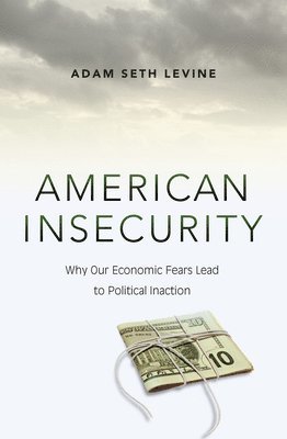 bokomslag American Insecurity