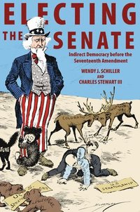 bokomslag Electing the Senate