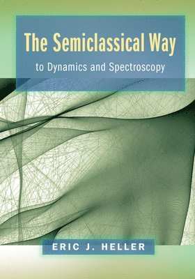 bokomslag The Semiclassical Way to Dynamics and Spectroscopy