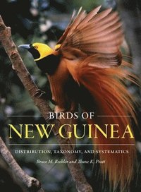 bokomslag Birds of New Guinea