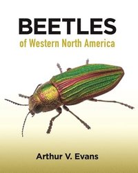 bokomslag Beetles of Western North America