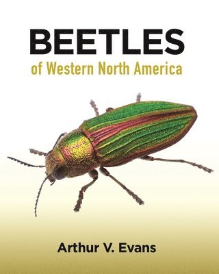 Beetles of Western North America 1