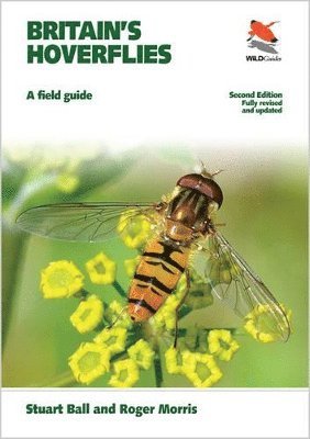 bokomslag Britain's Hoverflies