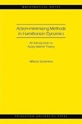 bokomslag Action-minimizing Methods in Hamiltonian Dynamics