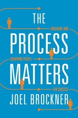 bokomslag The Process Matters