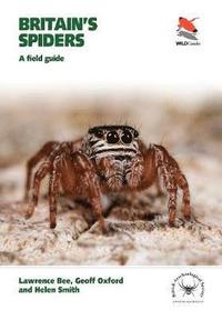 bokomslag Britain's Spiders