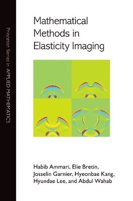 bokomslag Mathematical Methods in Elasticity Imaging