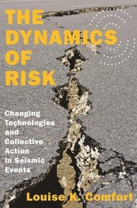 bokomslag The Dynamics of Risk