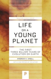 bokomslag Life on a Young Planet