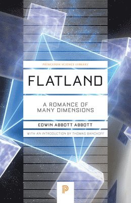 bokomslag Flatland