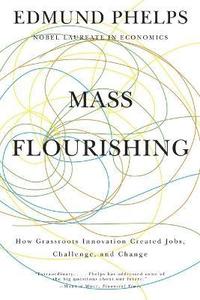 bokomslag Mass Flourishing