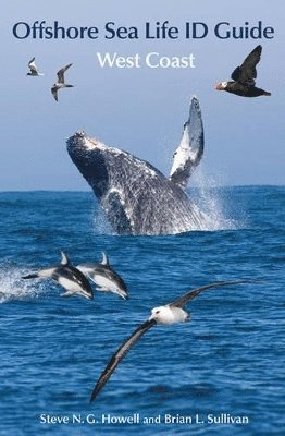 Steve N. G. Howell, Brian L. Sullivan - Offshore Sea Life ID Guide, Häftad