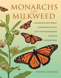 bokomslag Monarchs and Milkweed