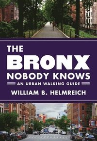 bokomslag The Bronx Nobody Knows