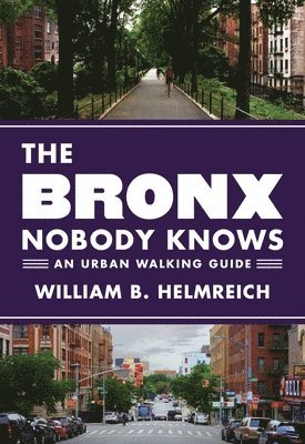 The Bronx Nobody Knows 1