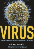 bokomslag Virus - An Illustrated Guide To 101 Incredible Microbes