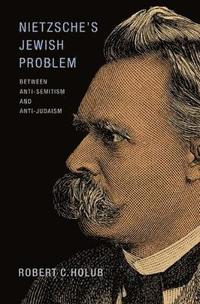 bokomslag Nietzsche's Jewish Problem