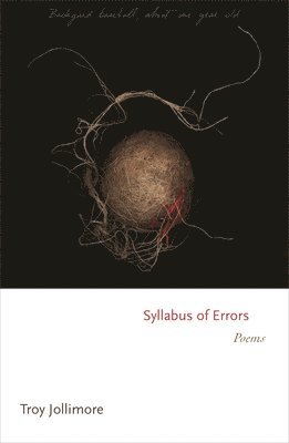 bokomslag Syllabus of Errors