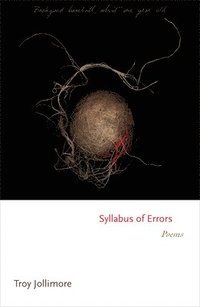 bokomslag Syllabus of Errors