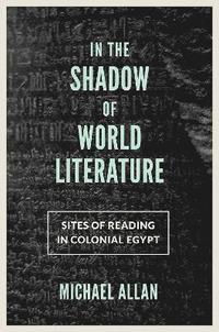 bokomslag In the Shadow of World Literature
