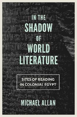 Michael Allan - In the Shadow of World Literature, Inbunden
