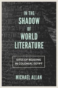 bokomslag In the Shadow of World Literature