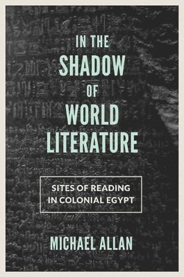 Michael Allan - In the Shadow of World Literature, Häftad