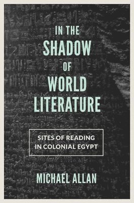 bokomslag In the Shadow of World Literature