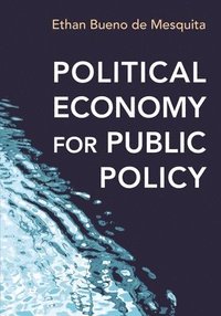 bokomslag Political Economy for Public Policy