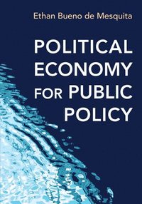 bokomslag Political Economy for Public Policy
