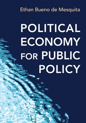 bokomslag Political Economy for Public Policy