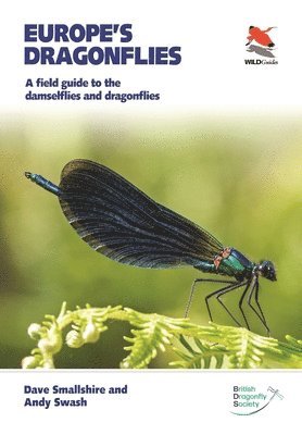 Dave Smallshire, Andy Swash - Europe's Dragonflies, Häftad