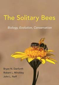 bokomslag The Solitary Bees