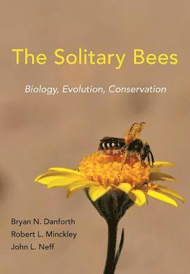 The Solitary Bees 1