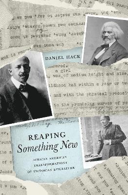 Daniel Hack - Reaping Something New, Inbunden
