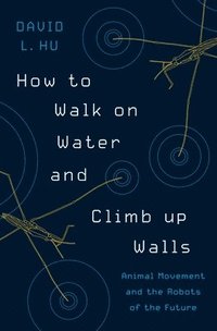 bokomslag How to Walk on Water and Climb up Walls
