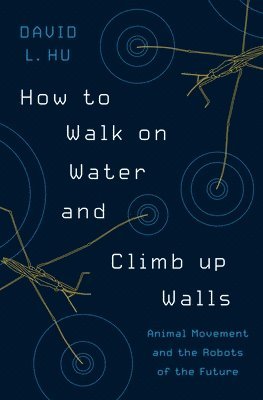 How to Walk on Water and Climb up Walls 1