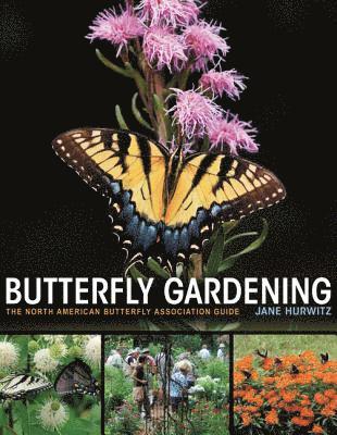 Butterfly Gardening 1