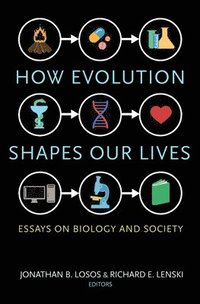 bokomslag How Evolution Shapes Our Lives