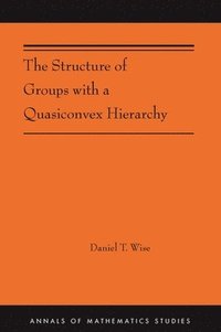 bokomslag The Structure of Groups with a Quasiconvex Hierarchy