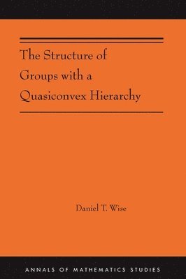 Daniel T. Wise, Daniel T Wise - Structure of Groups with a Quasiconvex Hierarchy, Inbunden