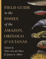 bokomslag Field Guide to the Fishes of the Amazon, Orinoco, and Guianas