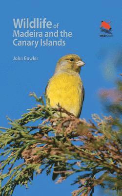 John Bowler - Wildlife of Madeira and the Canary Islands, Häftad