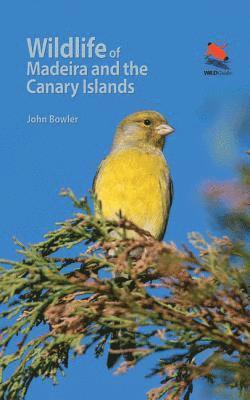 bokomslag Wildlife of Madeira and the Canary Islands