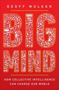 bokomslag Big Mind