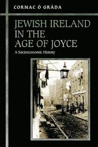 bokomslag Jewish Ireland in the Age of Joyce