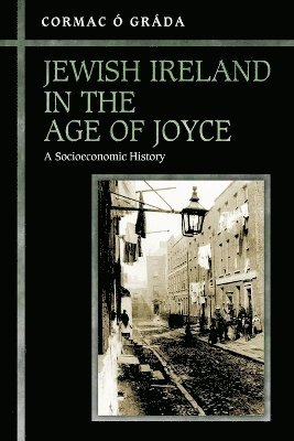 bokomslag Jewish Ireland in the Age of Joyce