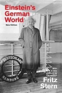bokomslag Einstein's German World