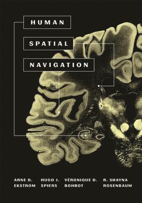 Arne Ekstrom, Hugo J. Spiers, Véronique D. Bohbot, R. Shayna Rosenbaum, Veronique D. Bohbot, Hugo J Spiers, Véronique D Bohbot, R Shayna Rosenbaum - Human Spatial Navigation, Inbunden