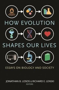 bokomslag How Evolution Shapes Our Lives